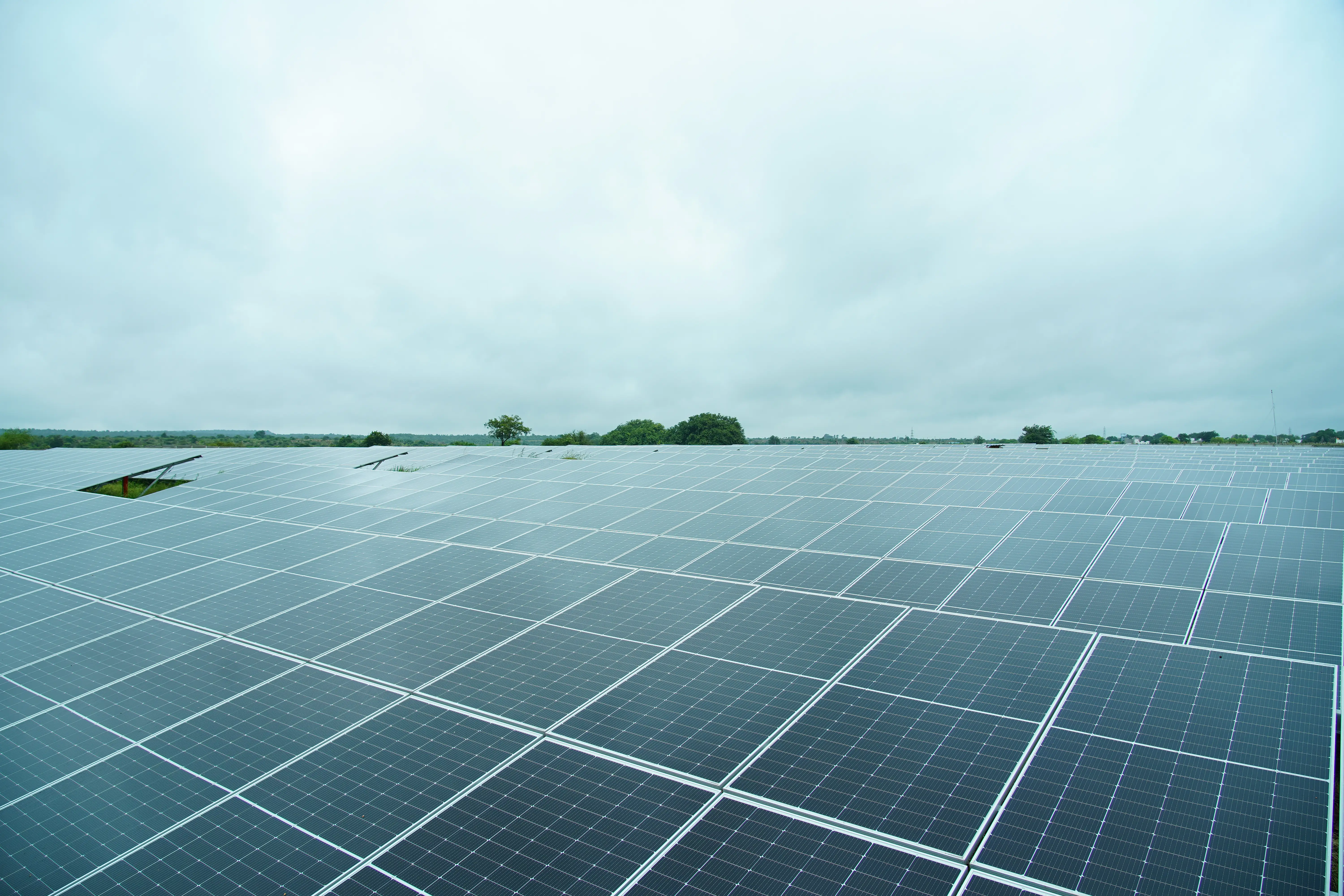 Ground Mounted Solar